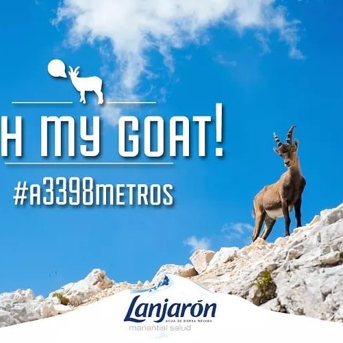 Oh my goat! That is a beautiful view from here. #sierranevada. Repost from @ agualanjaron.