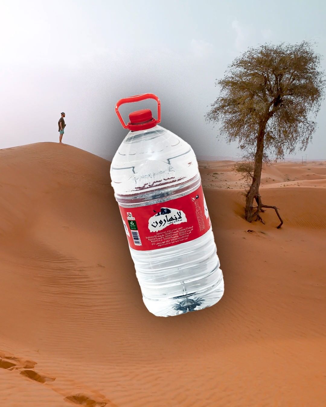 The most convenient option for your family. We asked the best engineering experts in the world how to make this 20% plant-based, 100% recyclable bottle (rPET), convenient for your water dispenser.