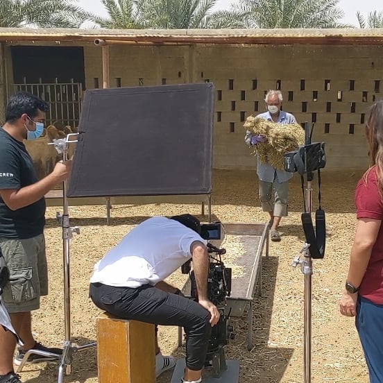 Catch our sister company @LocoFoodUAE organic farm owner will be in the national spotlight at 5:45pm www.adtv.ae/emarat-tv #majlismohamedbinzayed